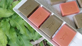 羊蹄植萃皂 - how to extract natural colors from fresh/dried Rumex Japonicus for handmade soaps - 手工皂