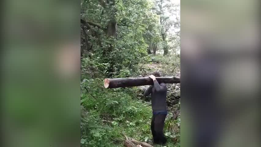 BOY MAKES BED FROM FALLEN WOOD