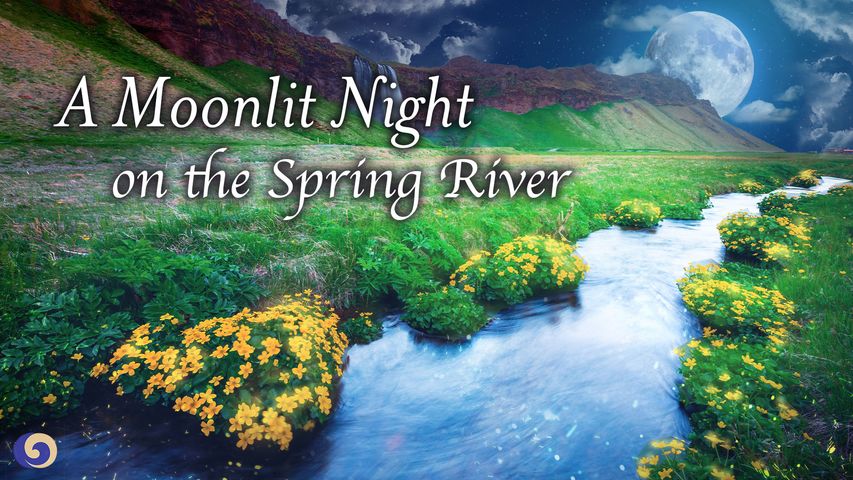 A Moonlit Night on the Spring River | Pipa | Vivian Liu | Chinese Music | Musical Moments | 春江花月夜