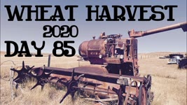 Wheat Harvest 2020 - Day 85