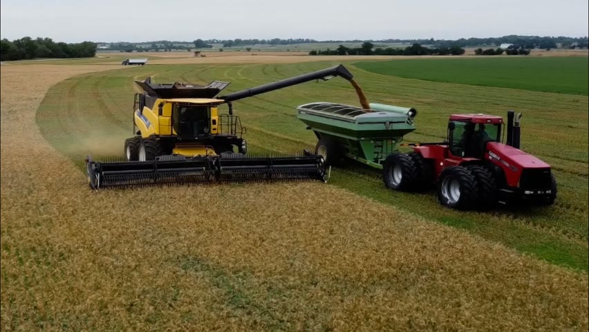 DAY 11 / 2022 Wheat Harvest - June 26 (Chase, Kansas)