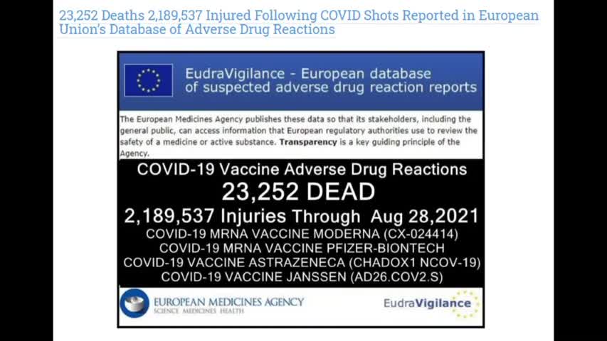 How many dies in Covid-19 Vaxxine?