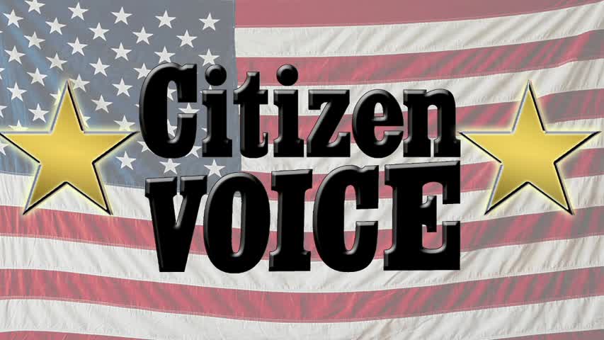 Citizen Voice - Dennis Jamison interviews Stephanie Mann | Episode 10 | 