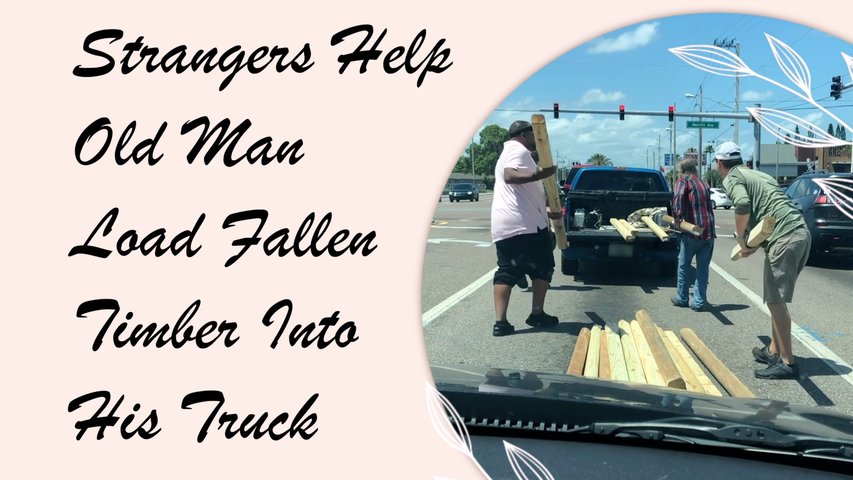 Strangers Help Old Man Load Timber Fallen on the Road Into His Pickup Truck