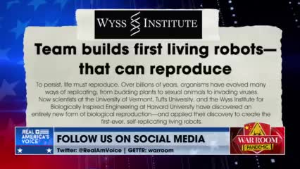 First Living Robots That Can Reproduce Have Been Created