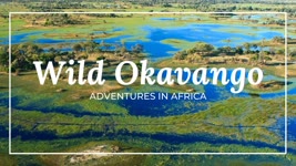 African Wildlife Documentary | Wild Okavango episode 1