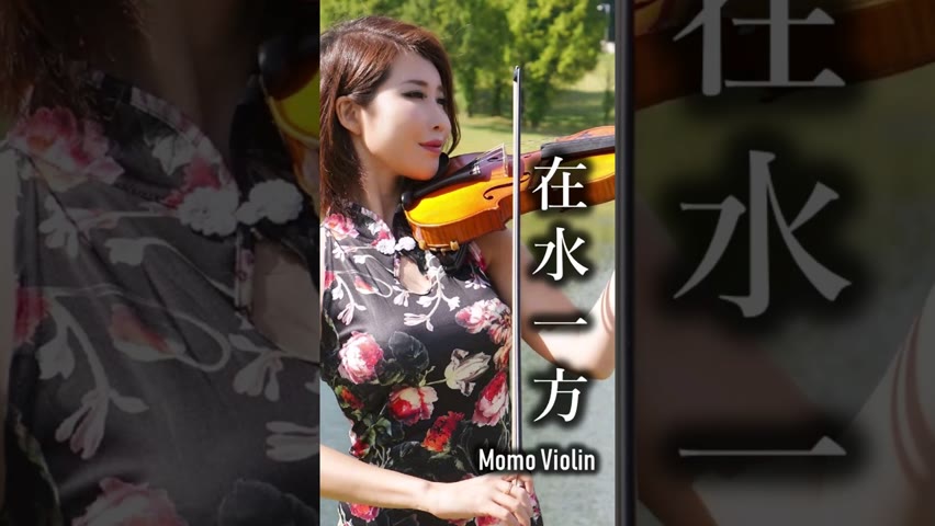 在水一方 小提琴 翻奏 #MomoViolin #小提琴 #violin #バイオリン