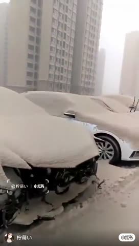 新疆库尔勒市沙尘暴（2023.4.13）