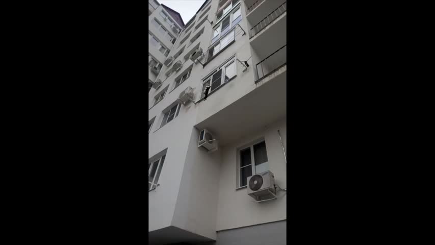 NTD Television - People Save Cat From Falling Out Window - Full.m4v