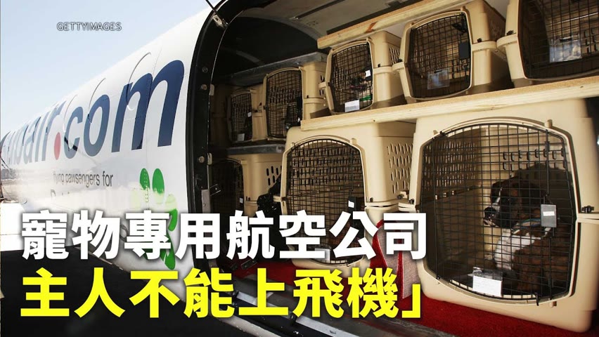 寵物專用航空公司 主人不能上飛機 - 寵物運送 - 國際新聞