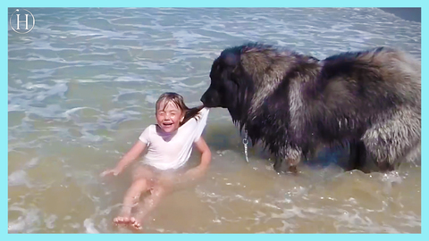 A Dog Rescued His Owner's Granddaughter When a Small Wave Crashed Over Her | Humanity Life