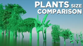 PLANT sizes in perspective