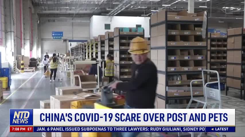 China's COVID-19 Scare Over Post and Pets