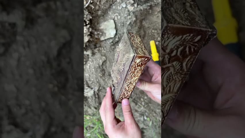A live scorpion was found in the treasure box.