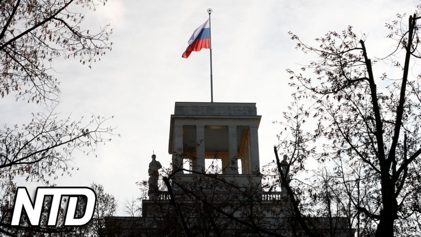 Rapport: Rysk agent död på ambassaden i Berlin | NTD NYHETER