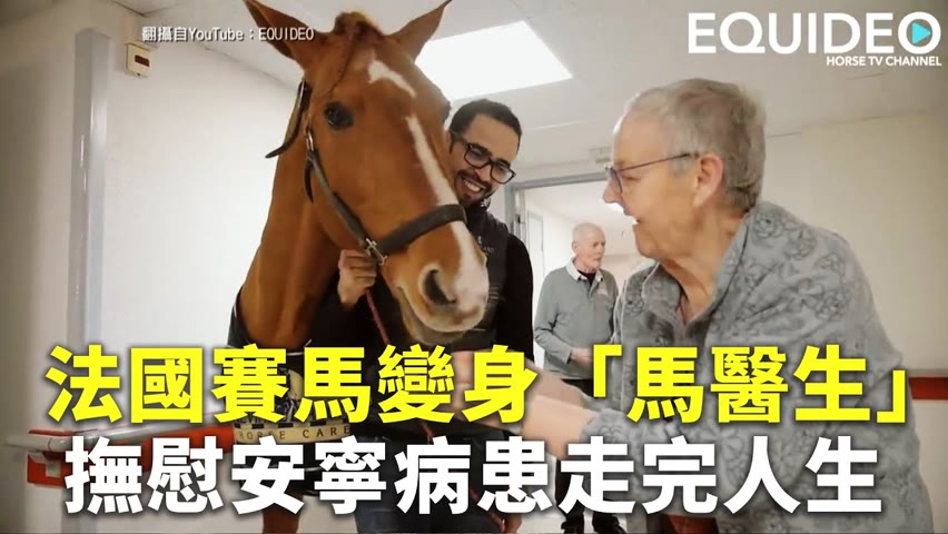 法國賽馬變身「馬醫生」撫慰安寧病患走完人生 - 可愛動物 - 新唐人亞太電視台