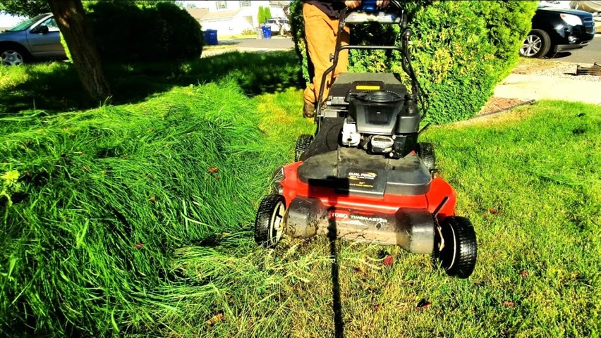 Son Struggles To Keep Lawn Mowed After Mother Dies