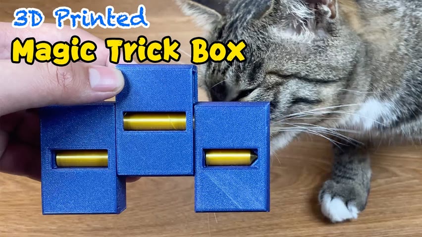 3D Printed Magic Trick Box | How does it work?🤯