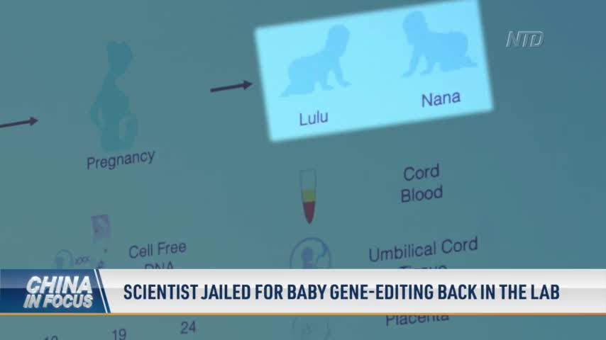 Scientist Jailed for Baby Gene-Editing Back in the Lab