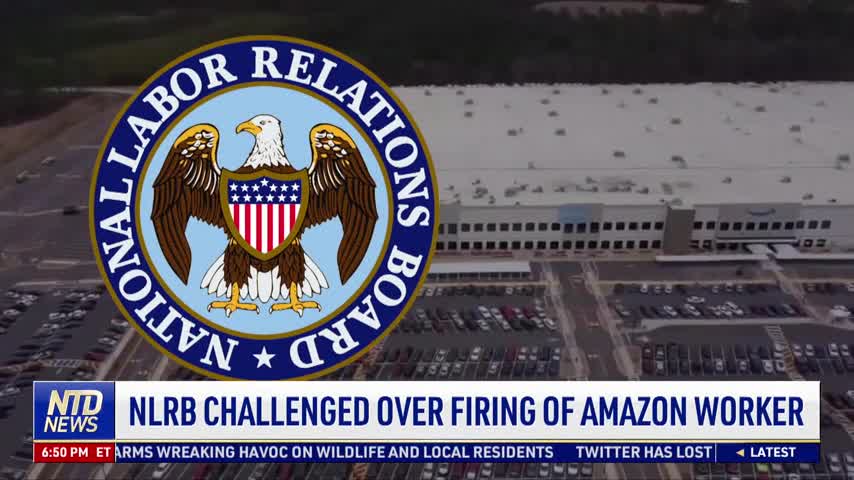 NLRB Challenged Over Firing of Amazon Worker