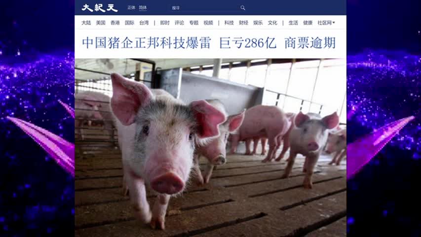929 中国猪企正邦科技爆雷 巨亏286亿 商票逾期 2022.06.10