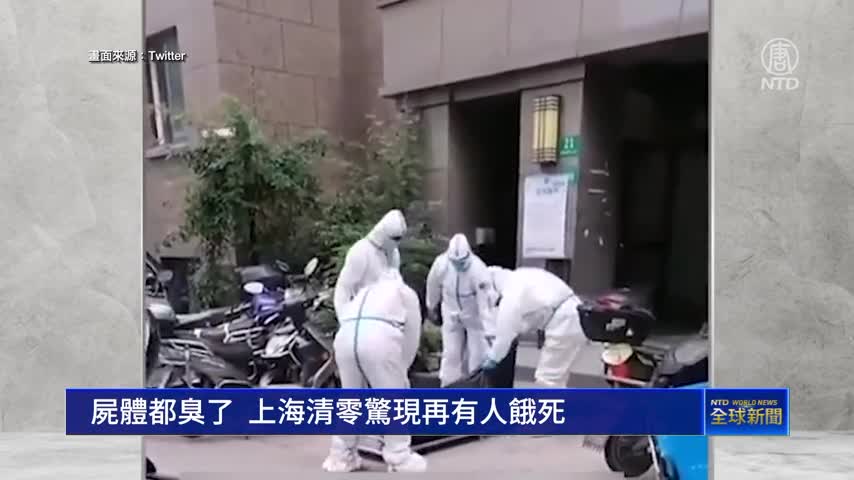 (SN)屍體都臭了 上海强制清零再有人餓死