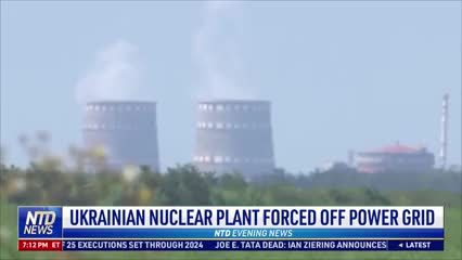 Ukrainian Nuclear Plant Forced Off Power Grid