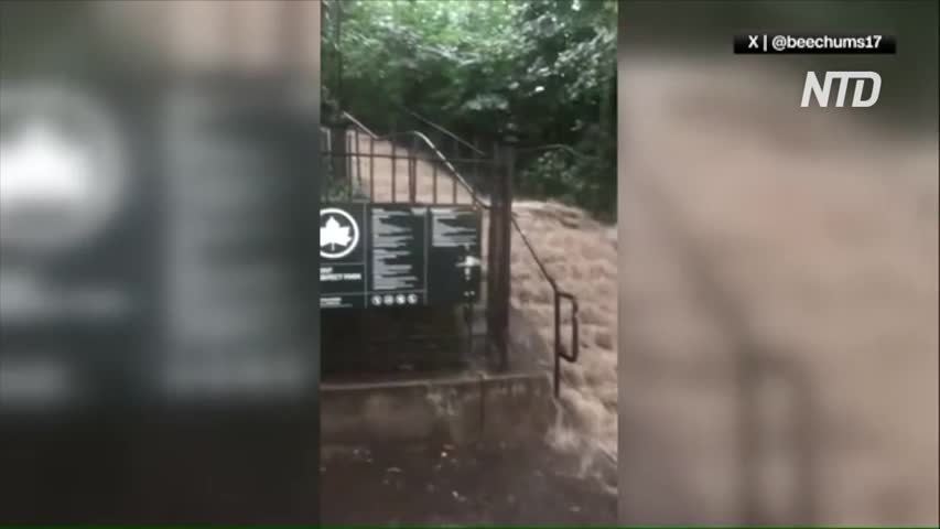 Water Gushes Down Brooklyn Staircase Like ‘Waterfal’l as New York Hit by Flash Flood