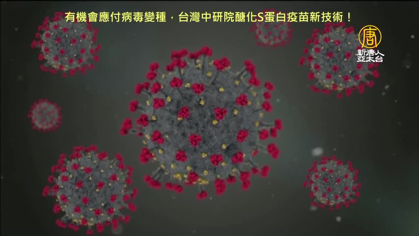 20210604 有機會應付病毒變種，台灣中研院醣化S蛋白疫苗新技術！