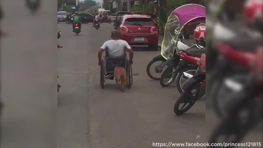 Owner pushes wheelchair-bound owner down the street 