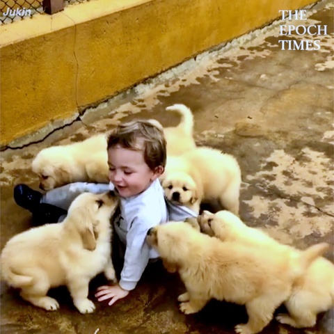 Babies and Puppies Are Best Friends