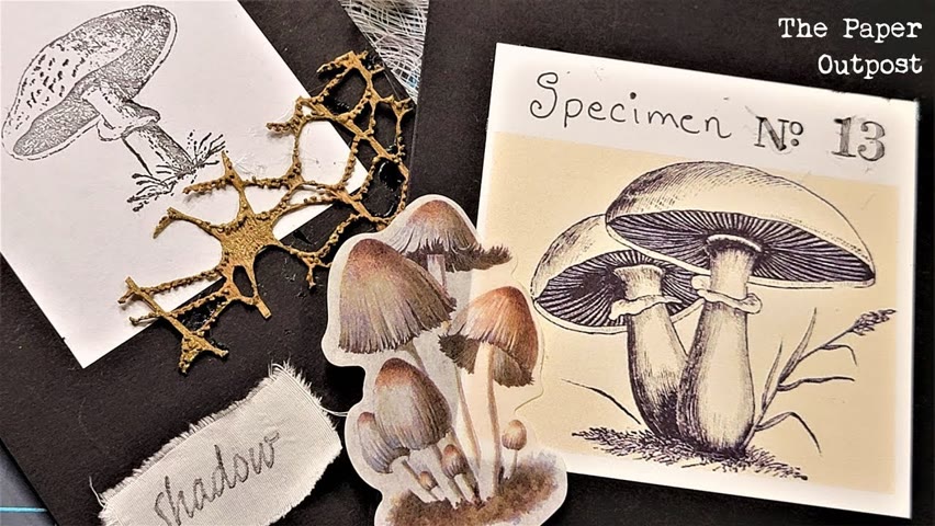 Mushrooms & Junk Journals WITH SOUND! :)! MUSHROOMS & AUTUMN! Ahhh! The Paper Outpost! :)