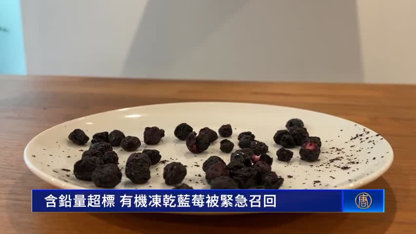 含鉛量超標 有機凍乾藍莓被緊急召回｜今日加州