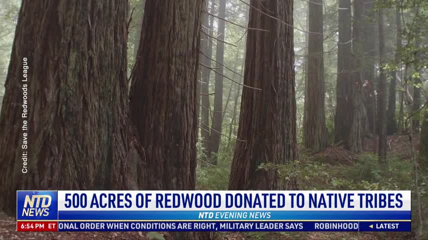 500 Acres of Redwood Donated to Native Tribes