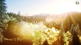 The First Rays of the Morning Sun: Music for a Wonderful Day | Musical Moments