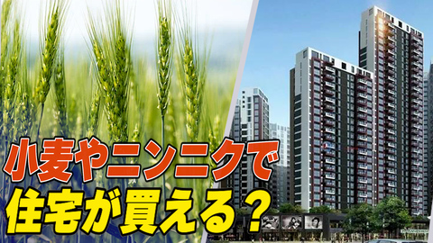 〈吹替版〉小麦やニンニクで住宅が買える？ 不動産業者の販促キャンペーン