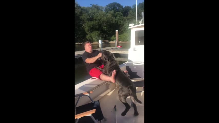 Man standing on boat tells dogs to jump for food. What happens next—it’s more than he bargained for