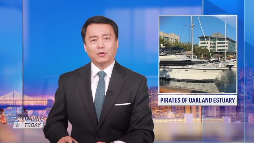 Modern Day Piracy In Oakland Estuary, Thieves Stealing Boats