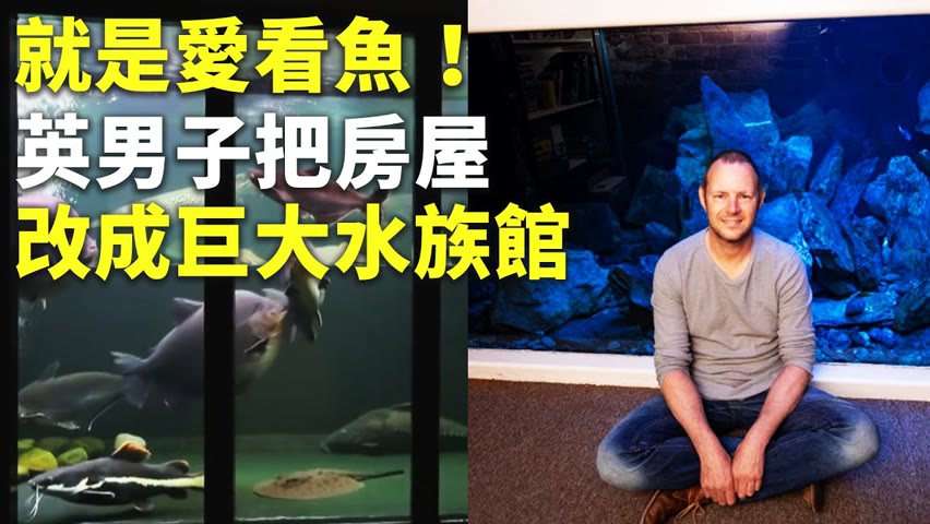 就是愛看魚！英男子把房屋改成巨大水族館 - 私人水族館 - 新唐人亞太電視台