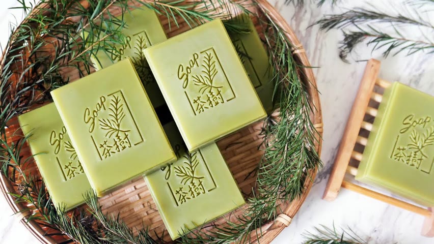 茶樹植萃皂 - Making soaps with the herb: Tea Tree cold process - 手工皂