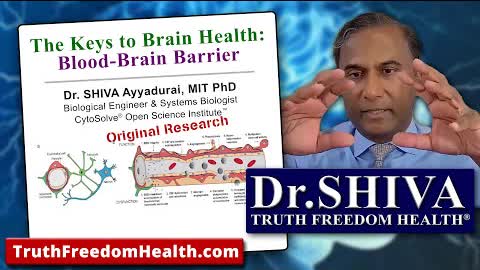The Keys to Brain Health: The Blood-Brain Barrier - Dr.SHIVA