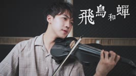 任然《飛鳥和蟬》小提琴版本 | Violin【Cover by An】