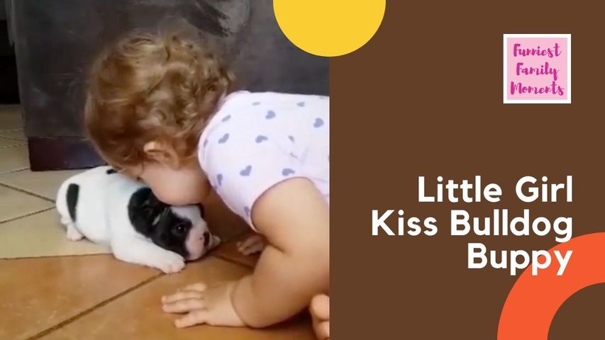 Girl Kisses French Bulldog Puppy