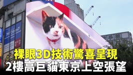 裸眼3D技術驚喜呈現 2樓高巨貓東京上空張望 - 對抗新冠疫情吉祥物 - 國際新聞 - 科技新聞