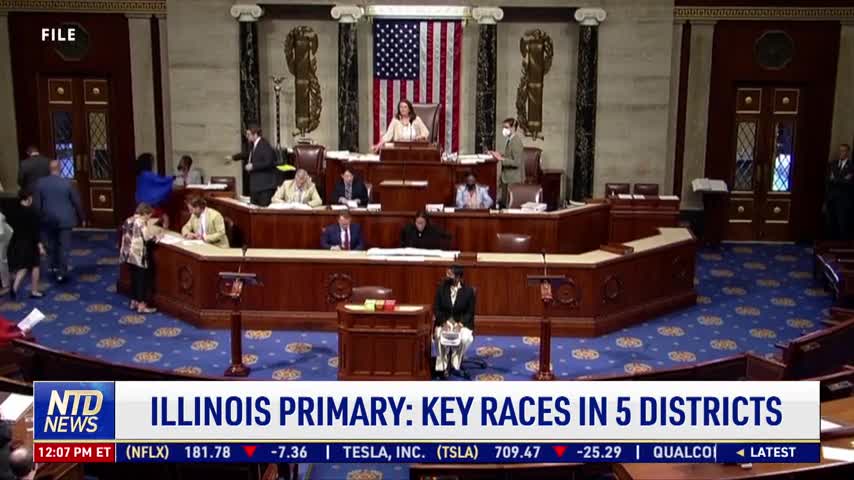 Illinois Primary: Key Races in 5 Districts