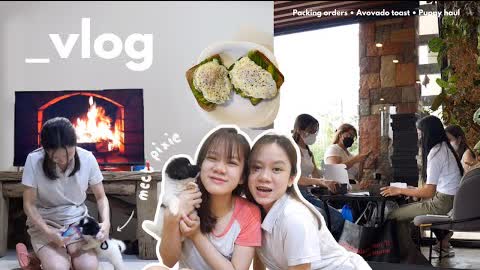 A vlog ⛅️ : We Got a New Puppy 🐶, Making Avocado Toast, Packing & Puppy Haul | Villamor Twins