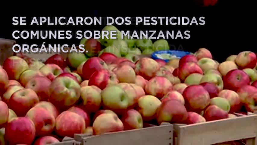 Los científicos encuentran la manera más eficaz de eliminar los pesticidas de las manzanas