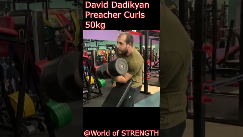 David Dadikyan vs Ermes Gasparini | Who Would Win ?