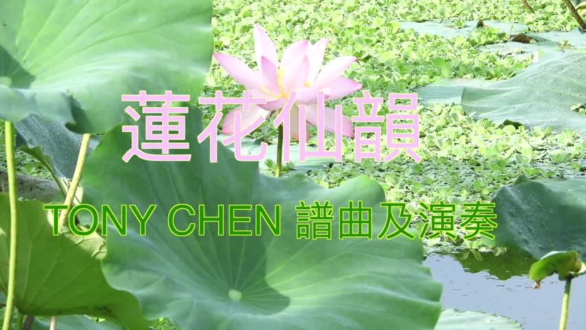 蓮花仙韻 ，陳東譜曲及演奏。The beautiful lotus blossoms carry a wonderful fairy charm from heaven。