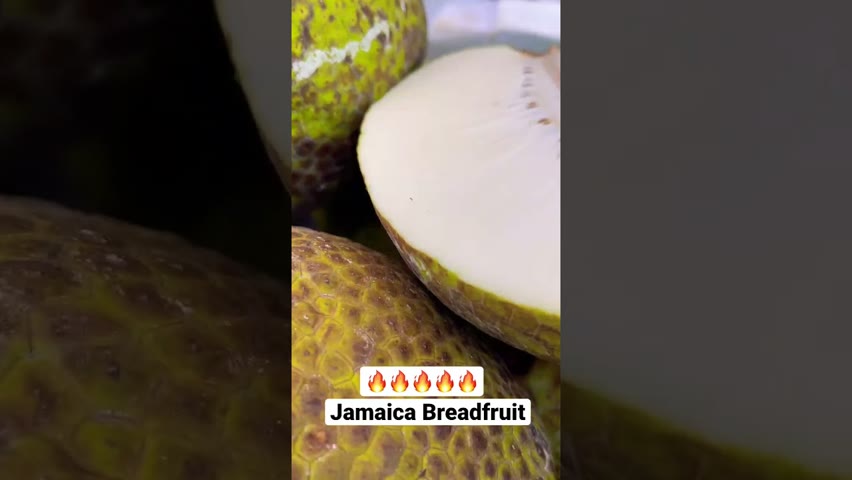 😀 Caribbean breadfruit how to roast breadfruit in the uk coming soon! #shorts
